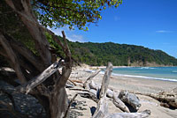 Strand in einem Naturpark bei Montezuma, Pazifikküste, Costa Rica.