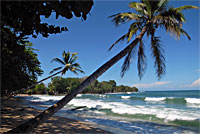 Karibikstrand, südliche Atlantikküste von Costa Rica.
