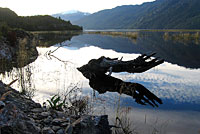 Vielfältige Spiegelungen in einem Fjord. Obschon direkt mit dem Meer verbunden, bleibt das Wasser dank der grossen Flüsse über weite Strecken süss. Chile.