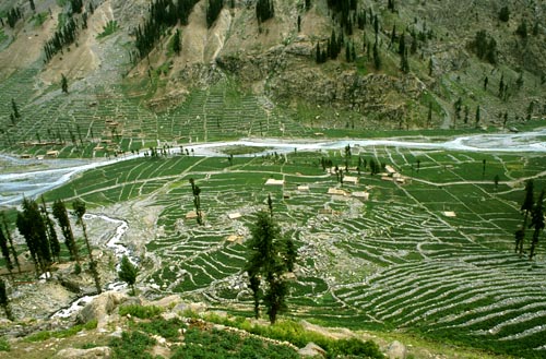 Neue Kartoffeläcker in Gula Bad, Swat, Pakistan, 2005