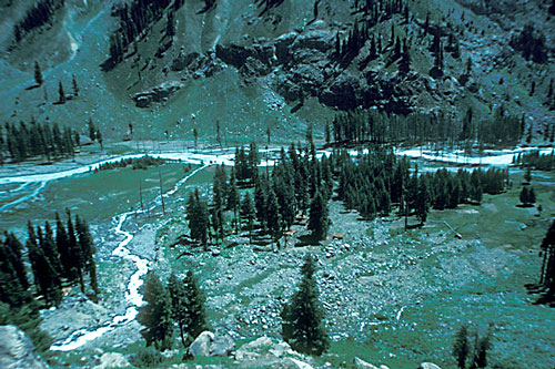 Neue Kartoffeläcker in Gula Bad, Swat, Pakistan, 1983