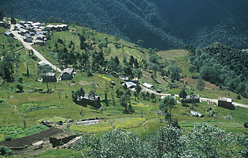 Kartoffelfarm in Nigale, Nepal, 2005