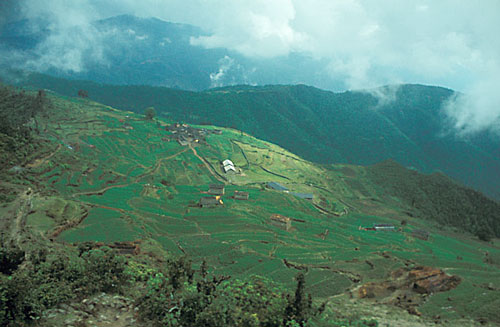 Kartoffelfarm in Nigale, Nepal, 1980