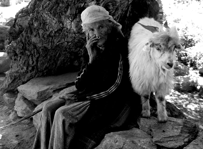 Humla e